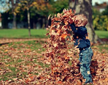 My Favorite Fall Family Traditions