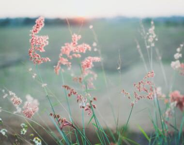 How to Create Peace in Your Home