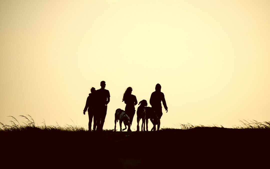Embracing How Your Family is Different